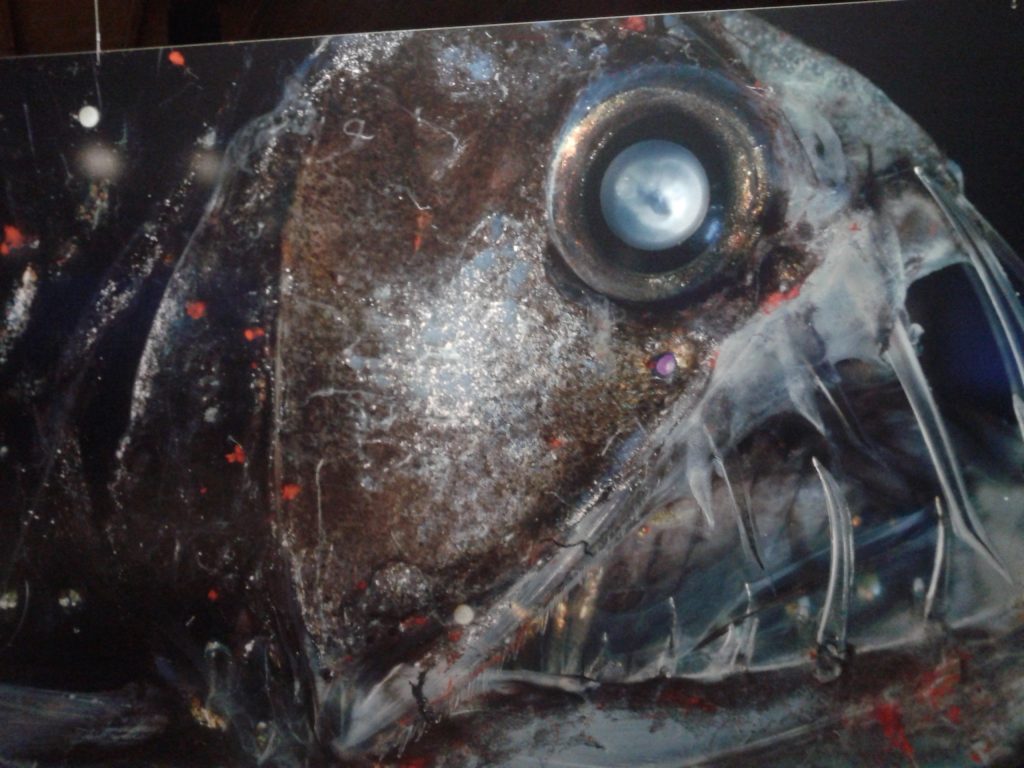 Gesehen in der Ausstellung „Welt der Wunder“ im Oberhausener Gasometer: Aufnahme eines Fischkopfs. Foto: Grimm